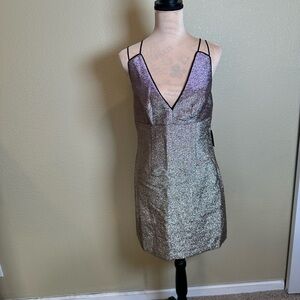 Express Silver Glitter Mini Dress